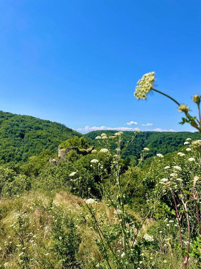 Drozdi Hnizdo Horni Breckov Exterior foto